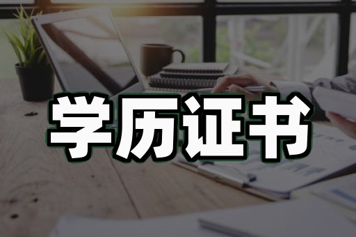 技能等级证服务